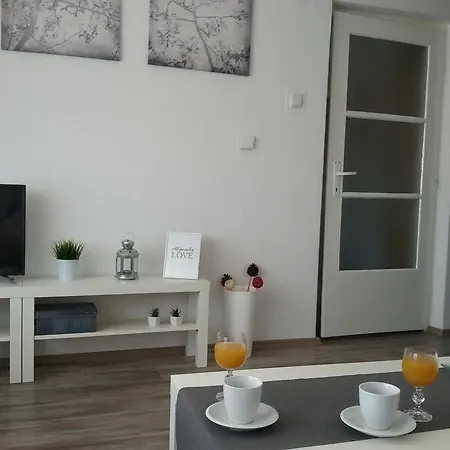 Studio Apartman Toplica Daruvar Exterior photo