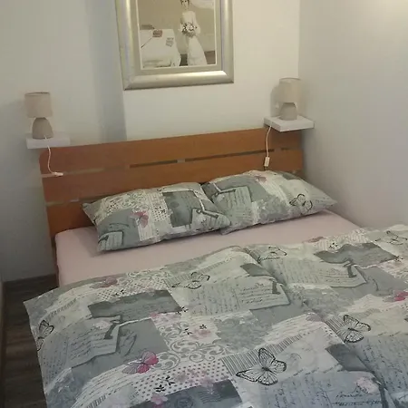 Studio Apartman Toplica Daruvar Exterior photo