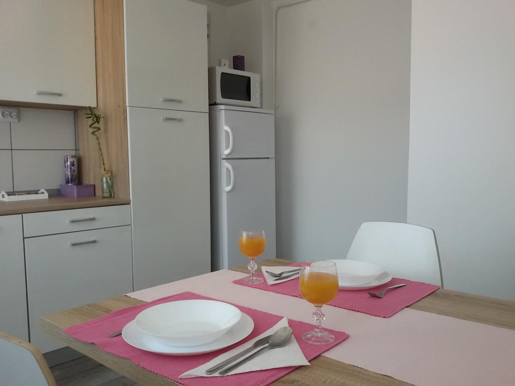 Apartment Toplica *